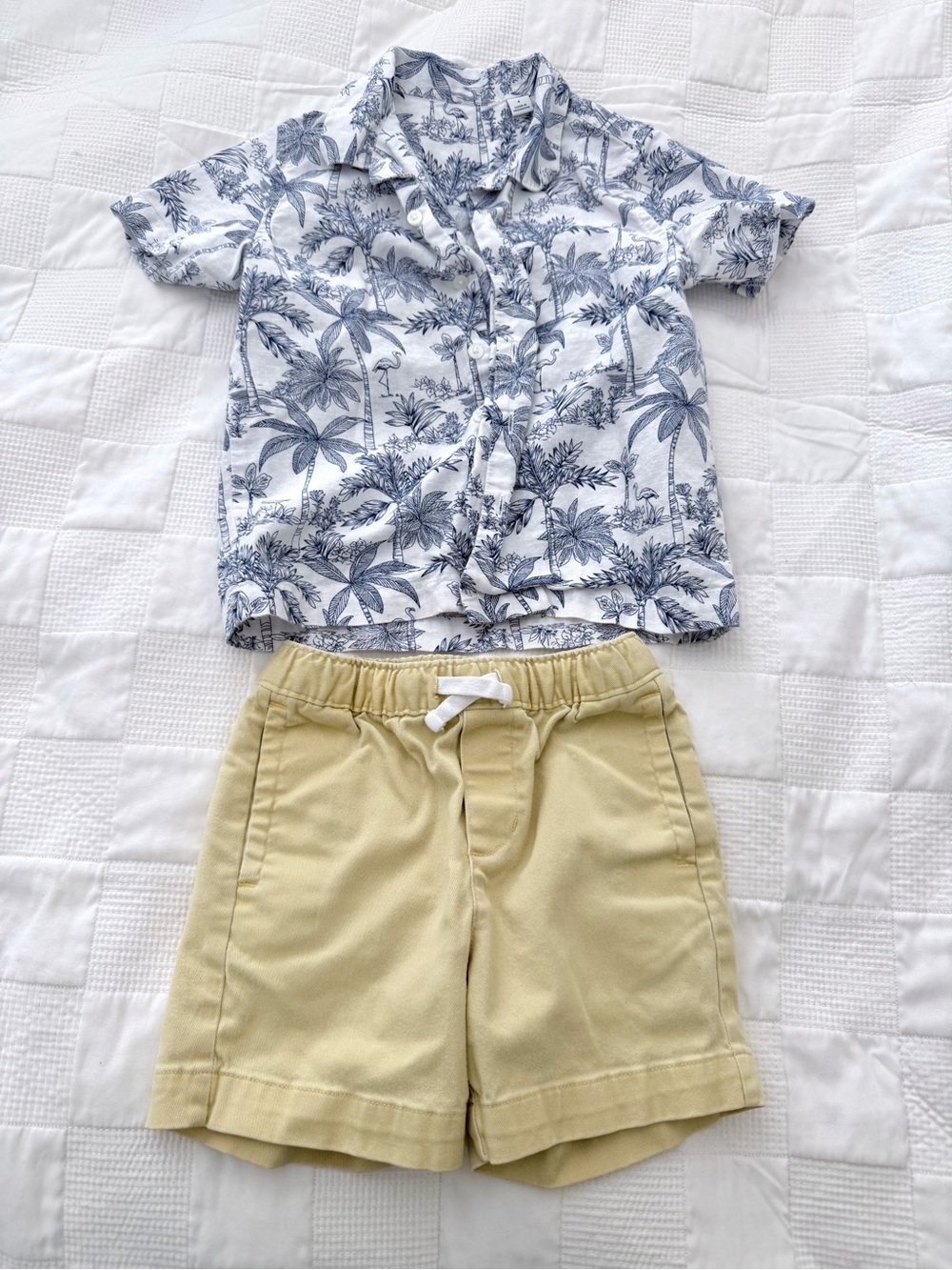 Janie & Jack Boy Button Shirt and Shorts 3T